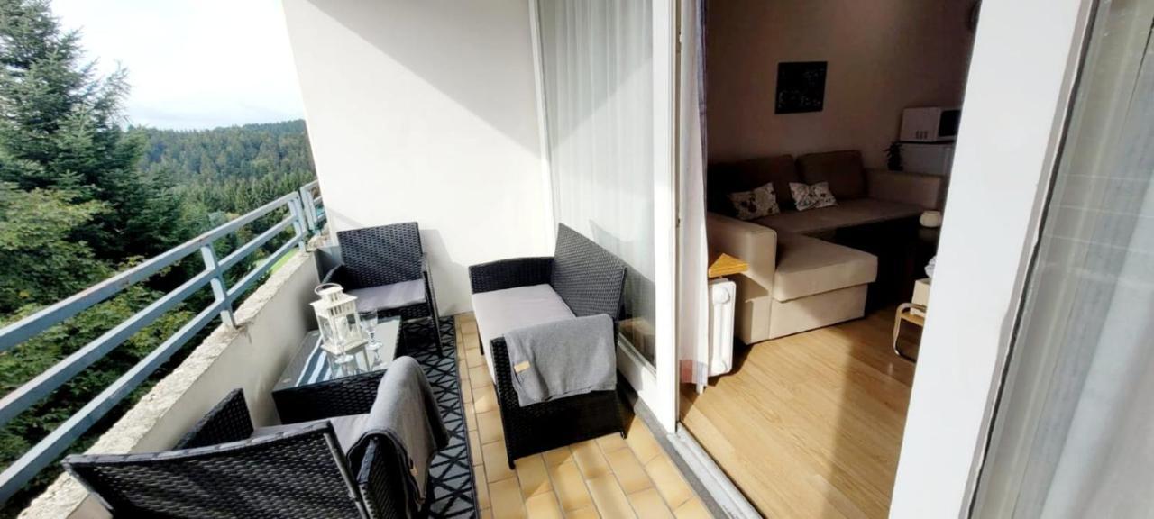Maria Altreichenau Apartman Neureichenau Kültér fotó