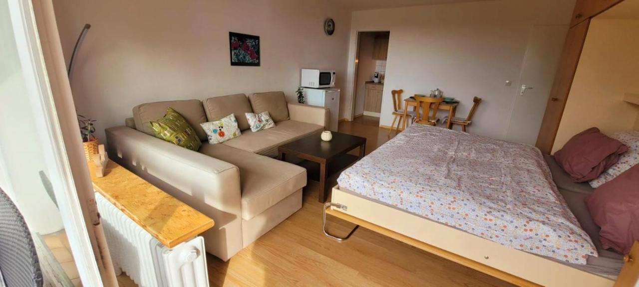 Maria Altreichenau Apartman Neureichenau Kültér fotó